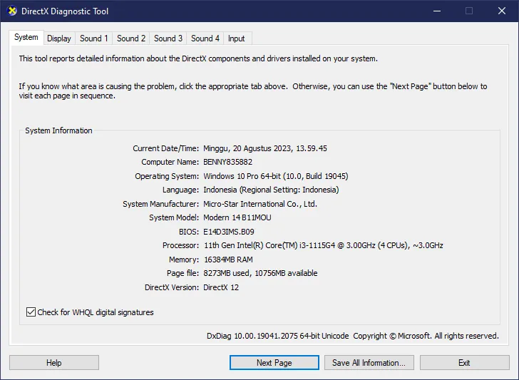 DxDiag tab System