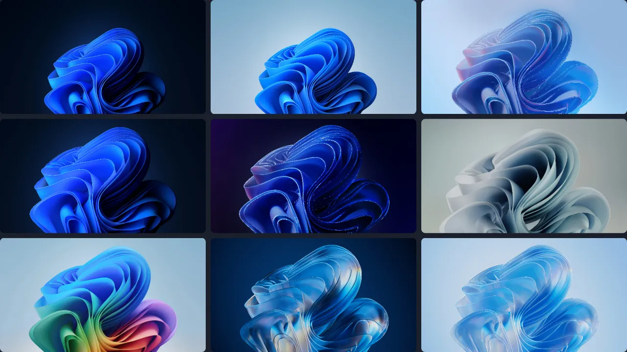 Kolase berbagai varian wallpaper Bloom untuk Windows 11.